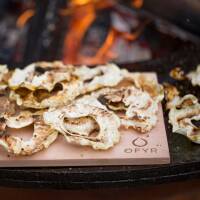 OFYR Sedir Ağaçlı Plaka (Kalas) OA-CW-PRO - 3